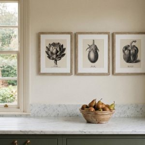Vintage Vegtables Set of three Framed Prints