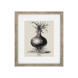 Vintage Onion Framed print