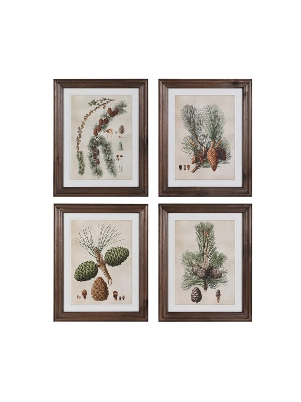 Set of 4 Pinecone Framed Prints