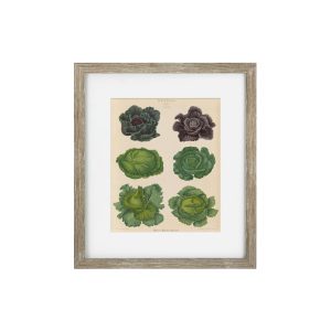 Vintage Veg II Framed Art Print